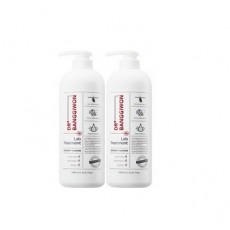 닥터방기원 랩 탈모 기능성 헤어트리트먼트, 1000ml, 2개
